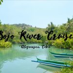 Bojo cebu aloguinsan